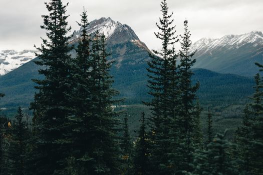 Breathtaking autumn landscape of mountains and pine forest in Canada.