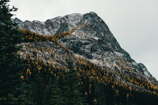 Breathtaking view of a snow-dusted mountain peak surrounded by autumn foliage in a Canadian forest.
