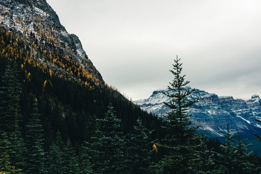 Stunning mountain landscape with autumn colors and pine trees, perfect for travel inspiration.