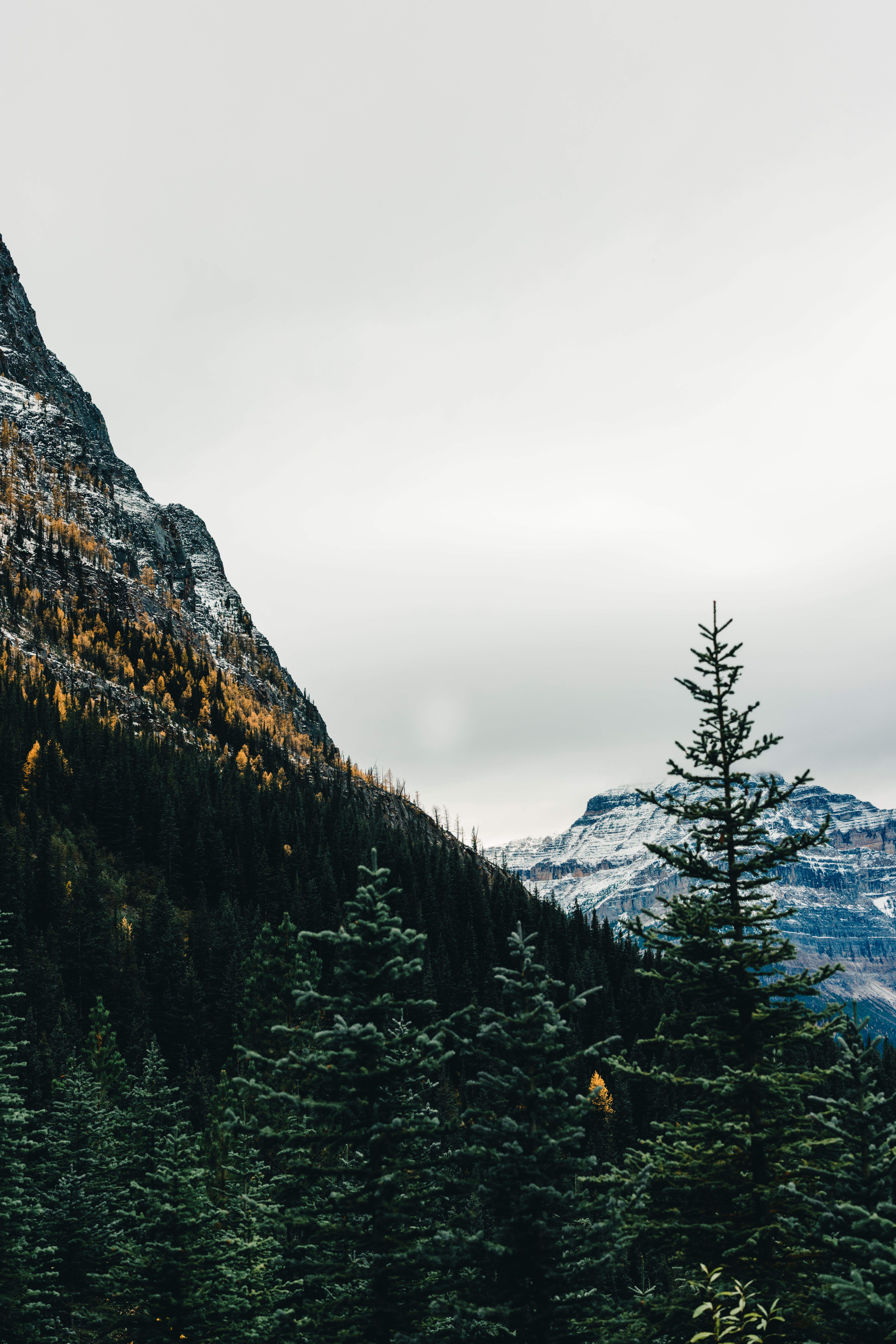 Stunning Mountain Landscape in Autumn Forest · Free Stock Photo