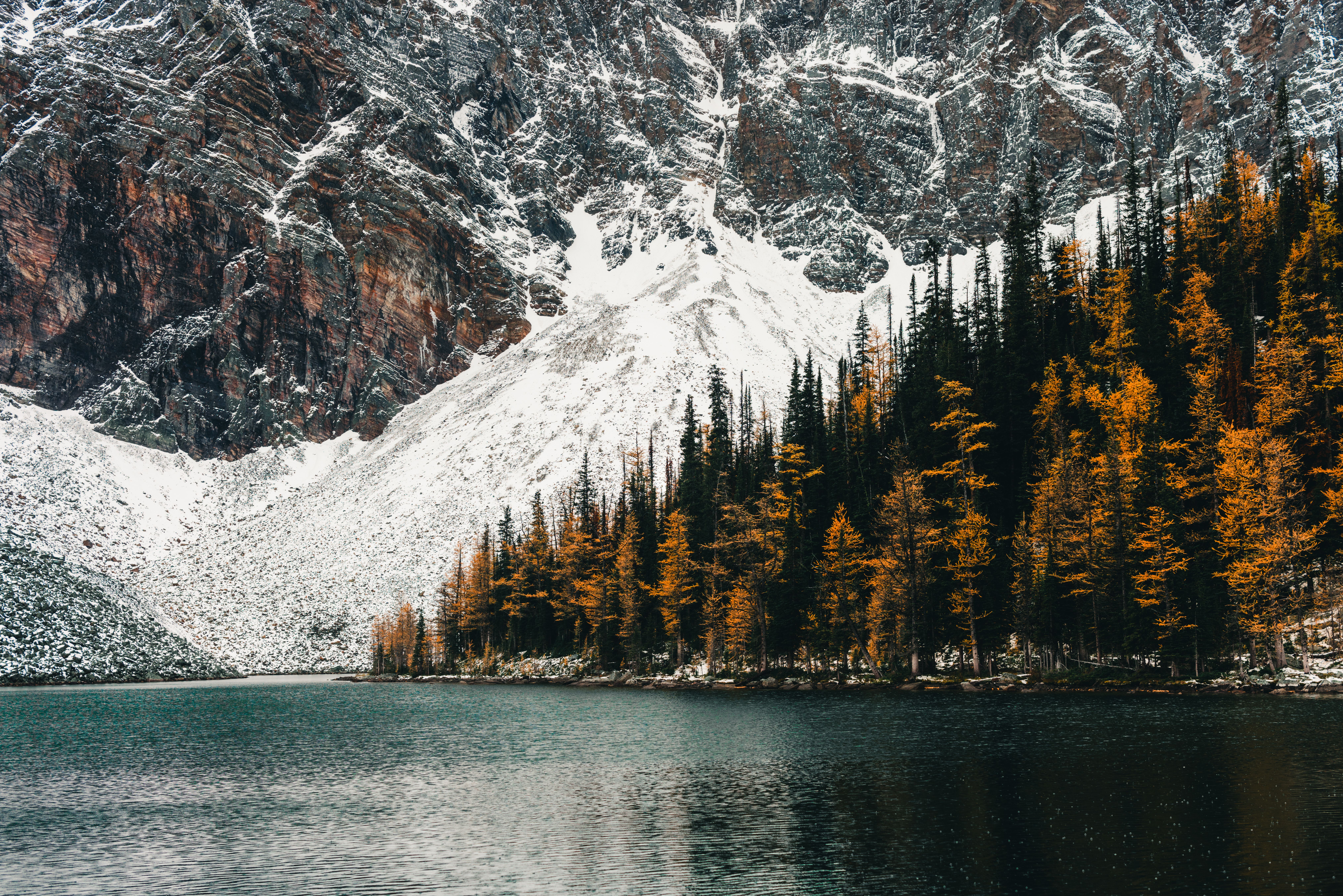 Scenic Mountain Lake with Autumnal Trees · Free Stock Photo
