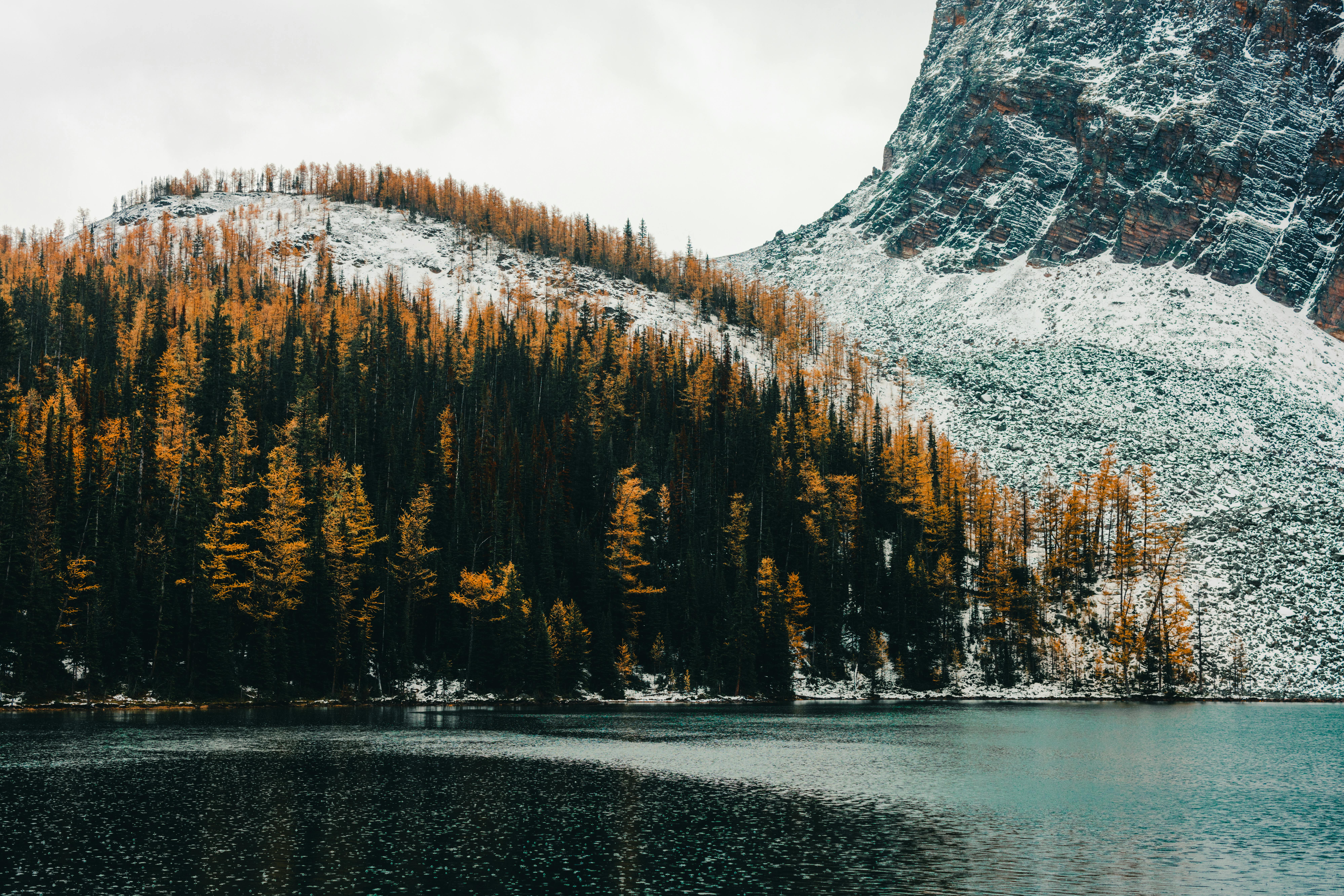 Stunning autumn landscape featuring a snow-dusted mountain and evergreen forest by a tranquil lake.