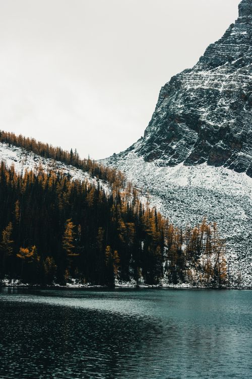 Free A tranquil lake surrounded by snowy mountains and fall foliage. Stock Photo