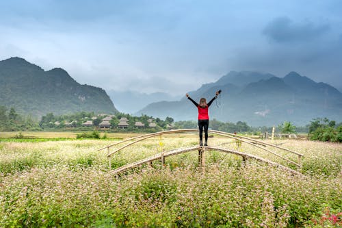 Người đứng Trên Cây Cầu Gỗ