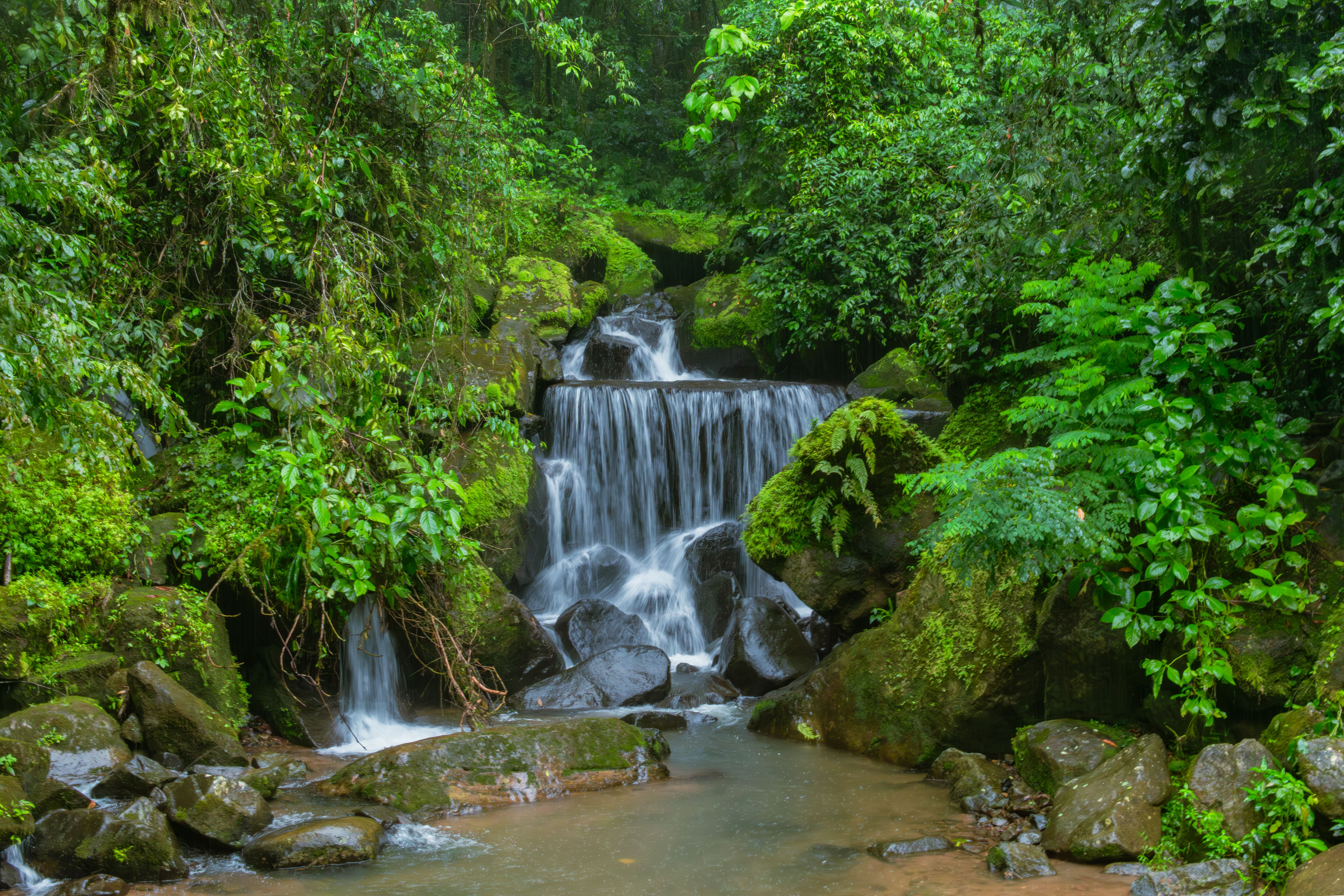 Cascada escondida en el bosque