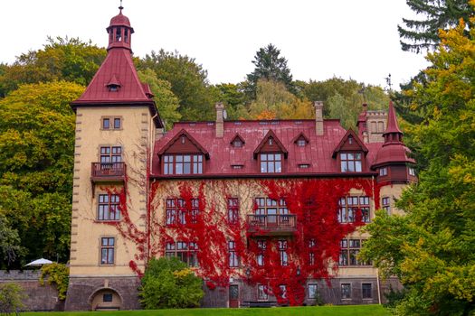 Charming autumn scene of a castle covered in vibrant red foliage in Huskvarna, Sweden.