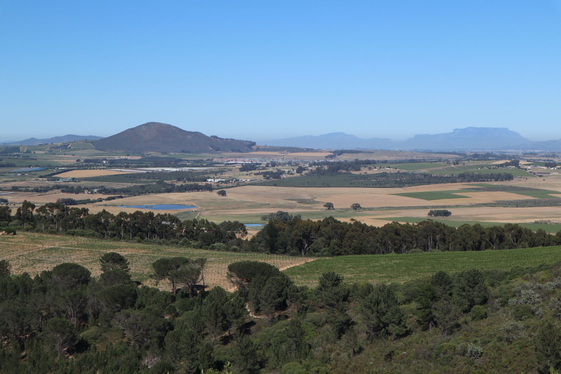 Stellenbosch wijnlandschap met Afrikaanse architectuur 1