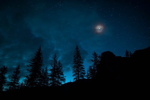 Free Moonlight on a Dark sky  Stock Photo