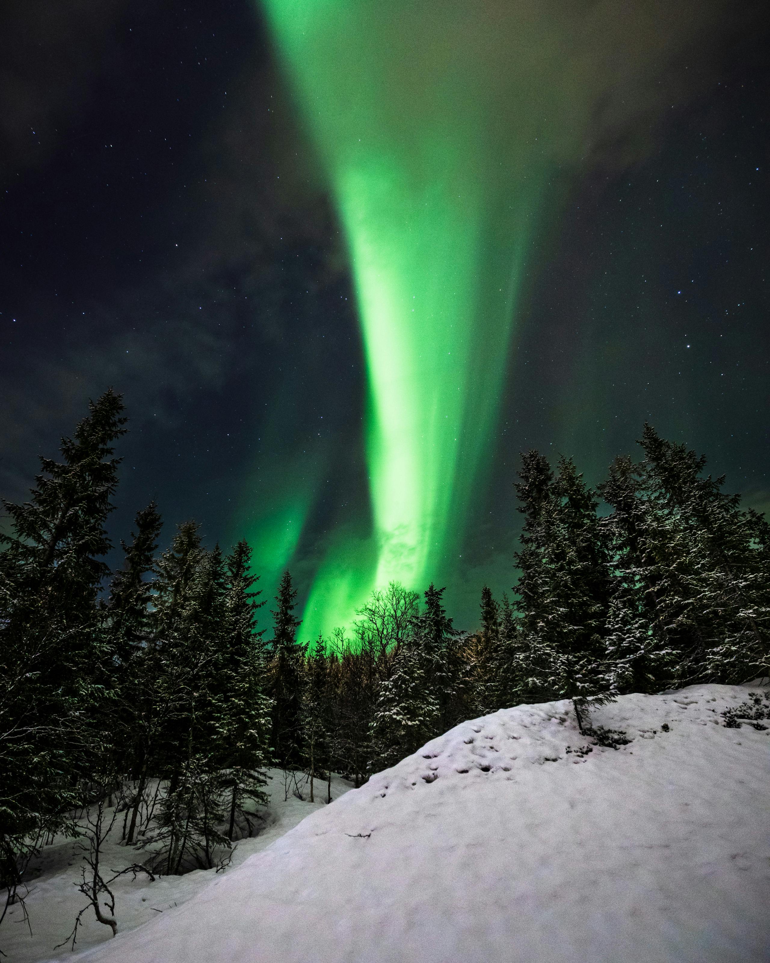Capture of northern lights illuminating a snow-covered forest under a starry sky. Nature's majestic beauty.