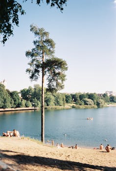 您提供的信息较少，无法进行具体优化