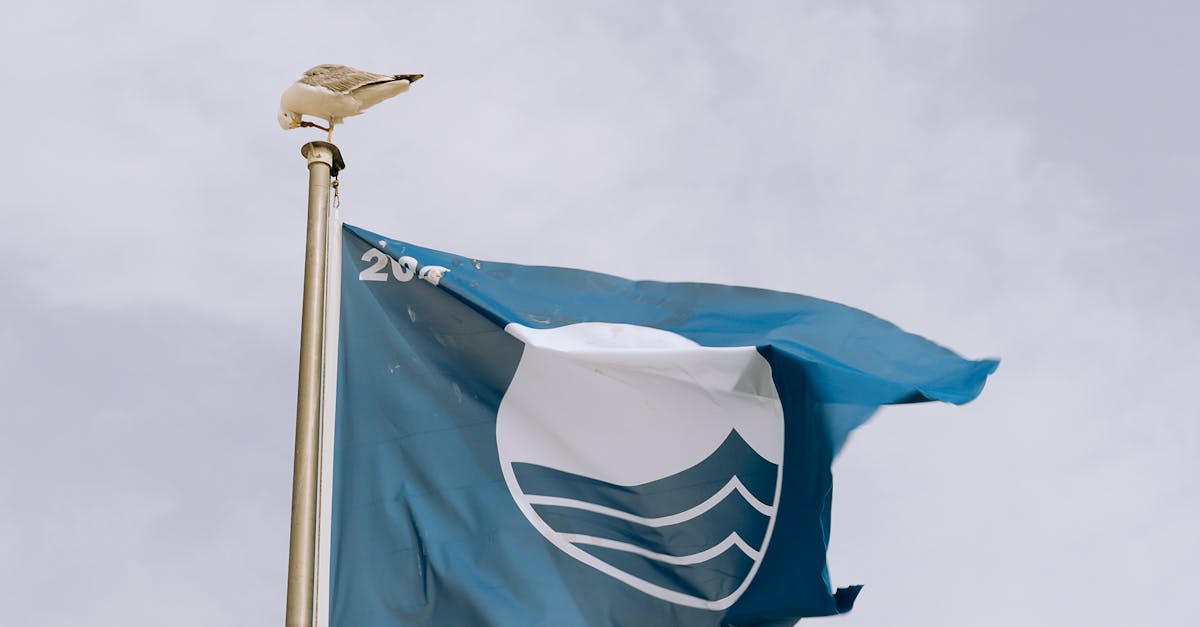 中油深耕永續再獲國際肯定 連續6年榮獲亞洲企業社會責任獎