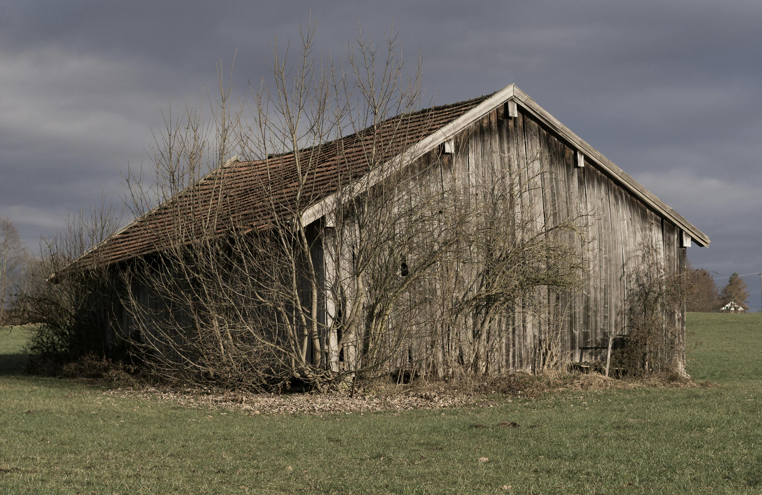 Kostenloses Foto zum Thema alte hütte, natur