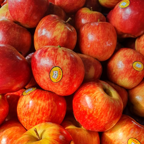 Wambugu Apple