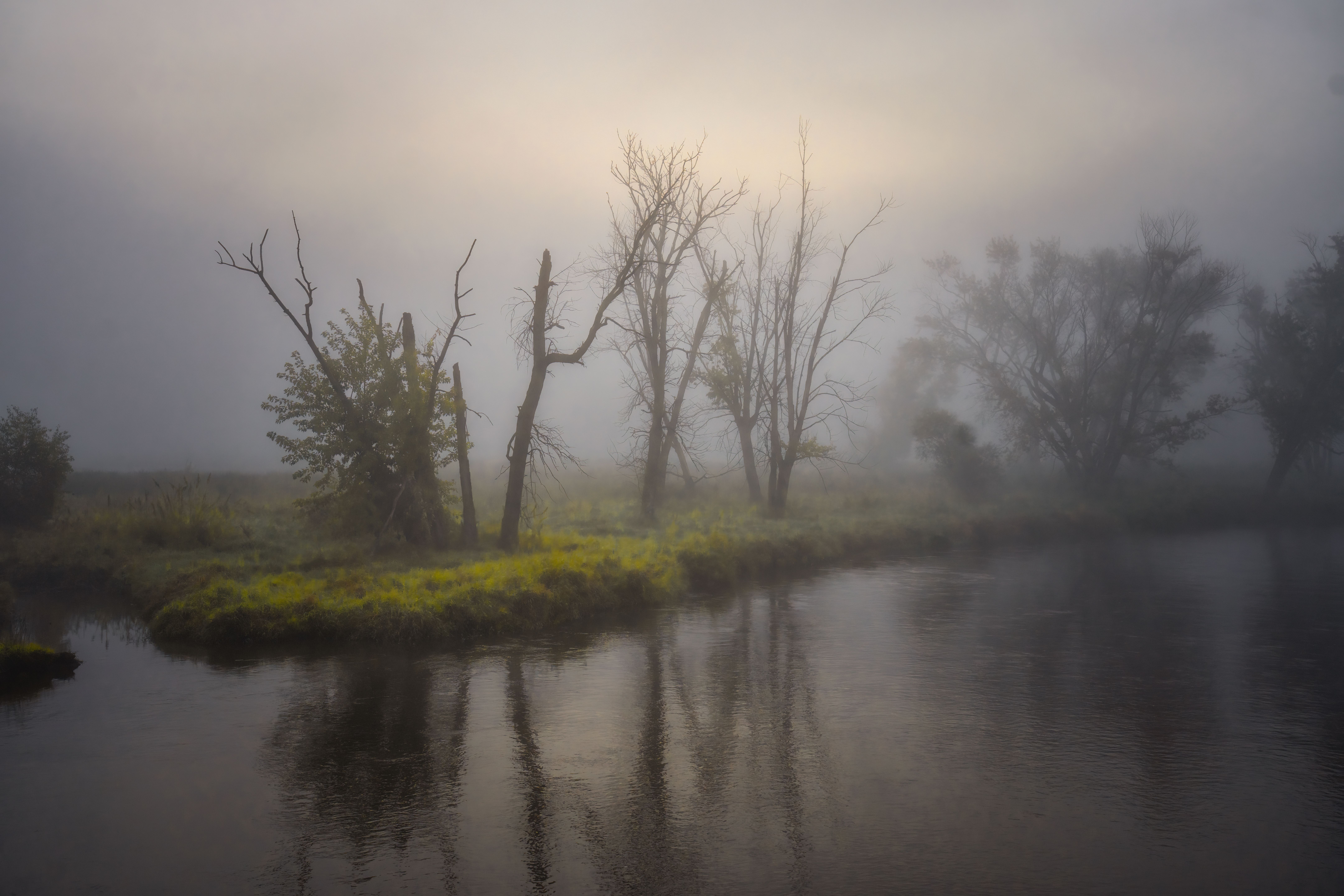 Misty Morning River Landscape with Bare Trees · Free Stock Photo
