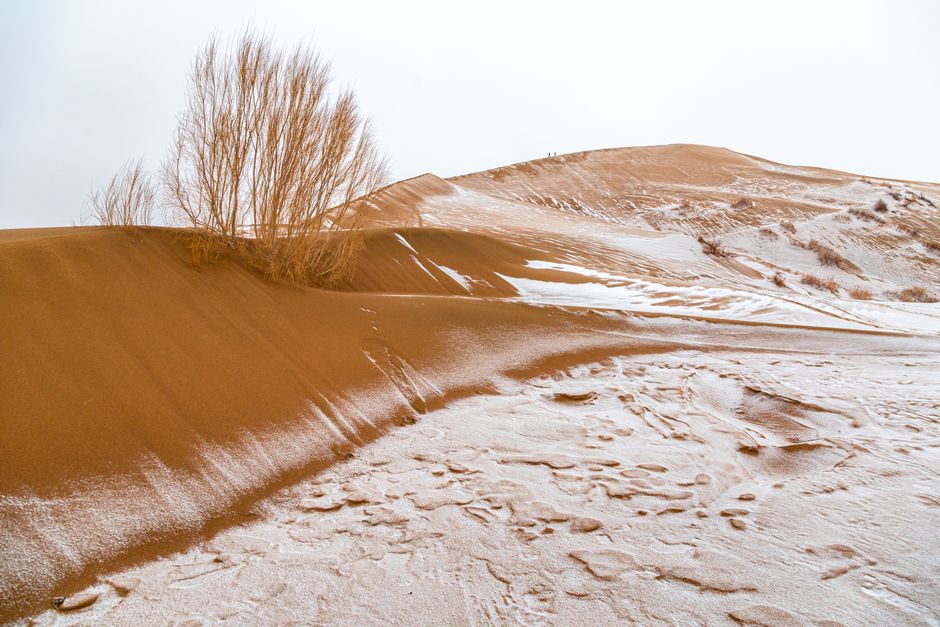 Snow blankets a desert landscape with rolling dunes and sparse vegetation.