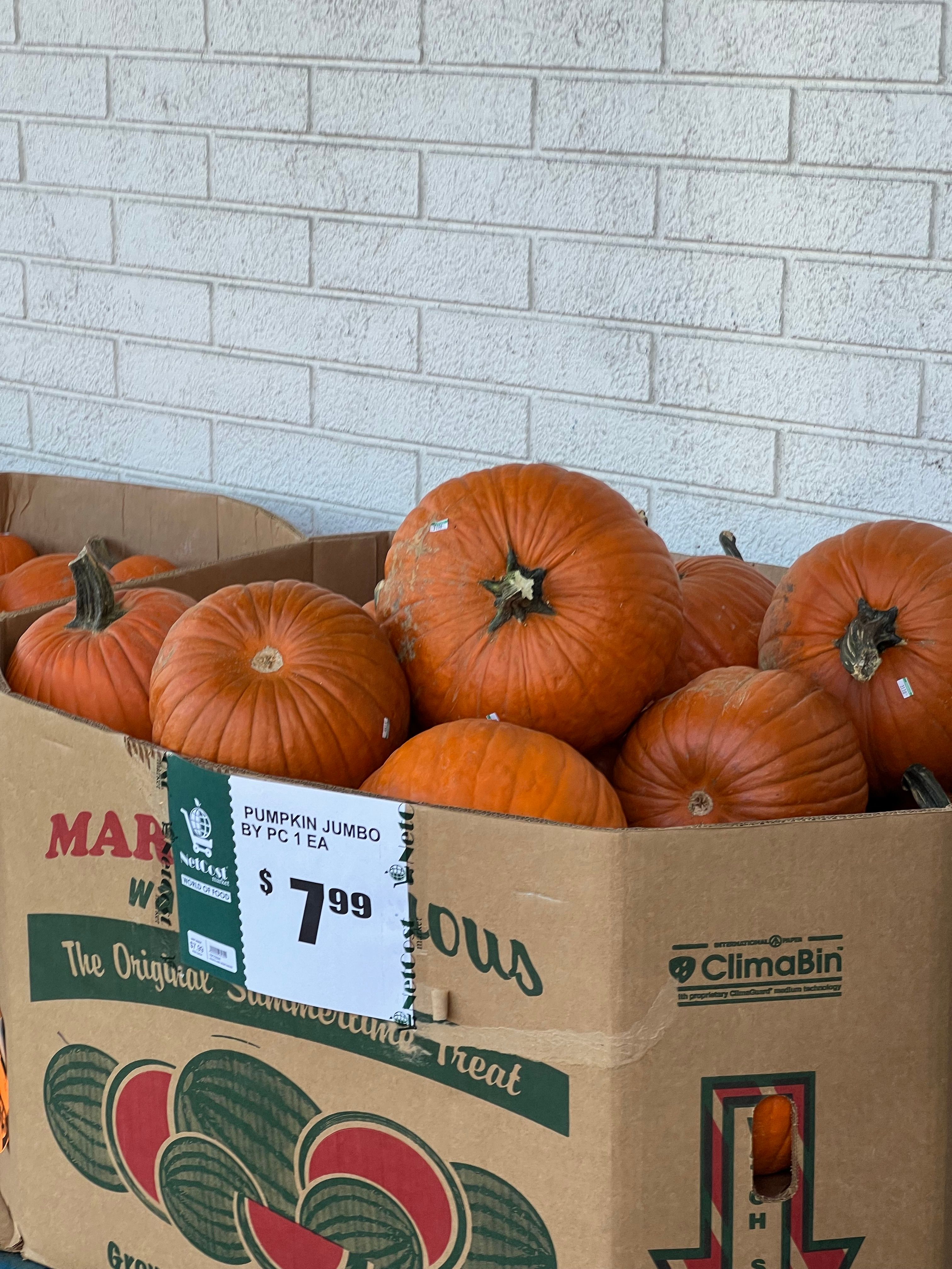 Jumbo Pumpkins for Sale in Cardboard Box · Free Stock Photo
