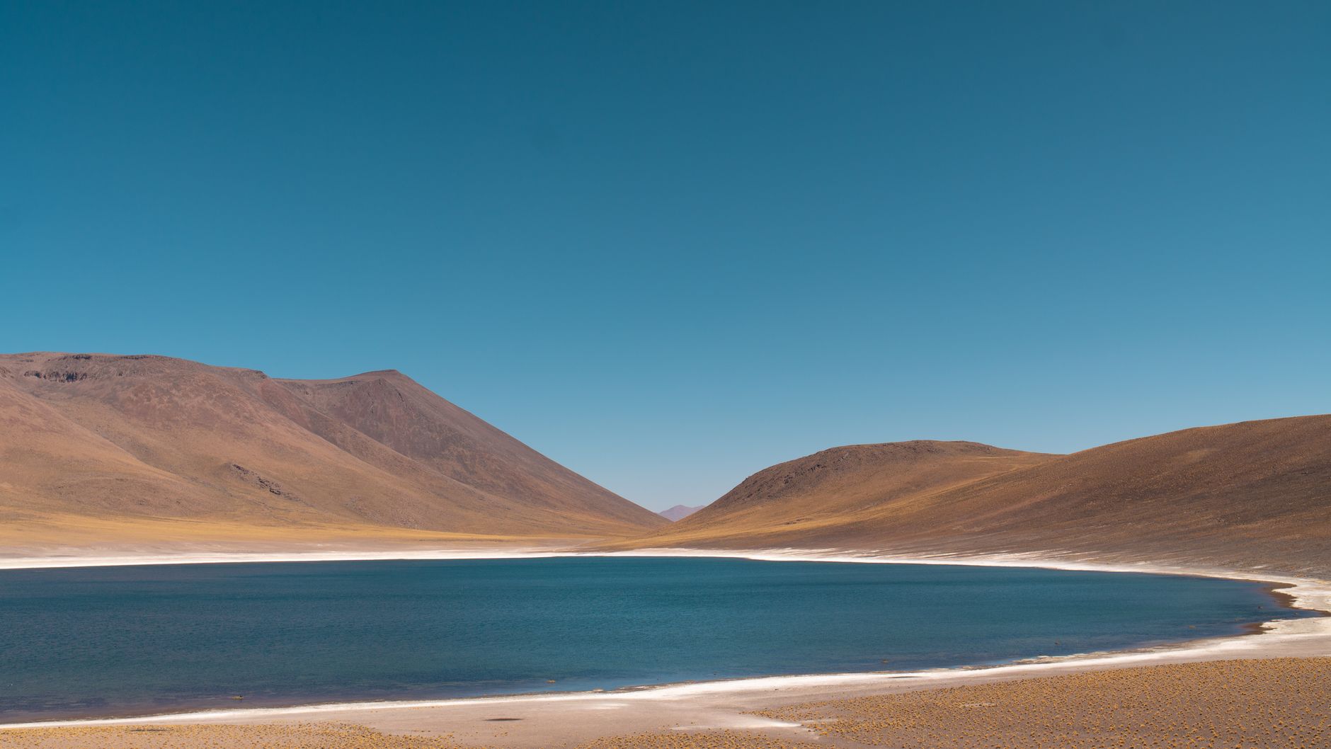 The deep-blue Laguna Miscanti ringed by a white shoreline and bare Andean slopes on the Atacama altiplano