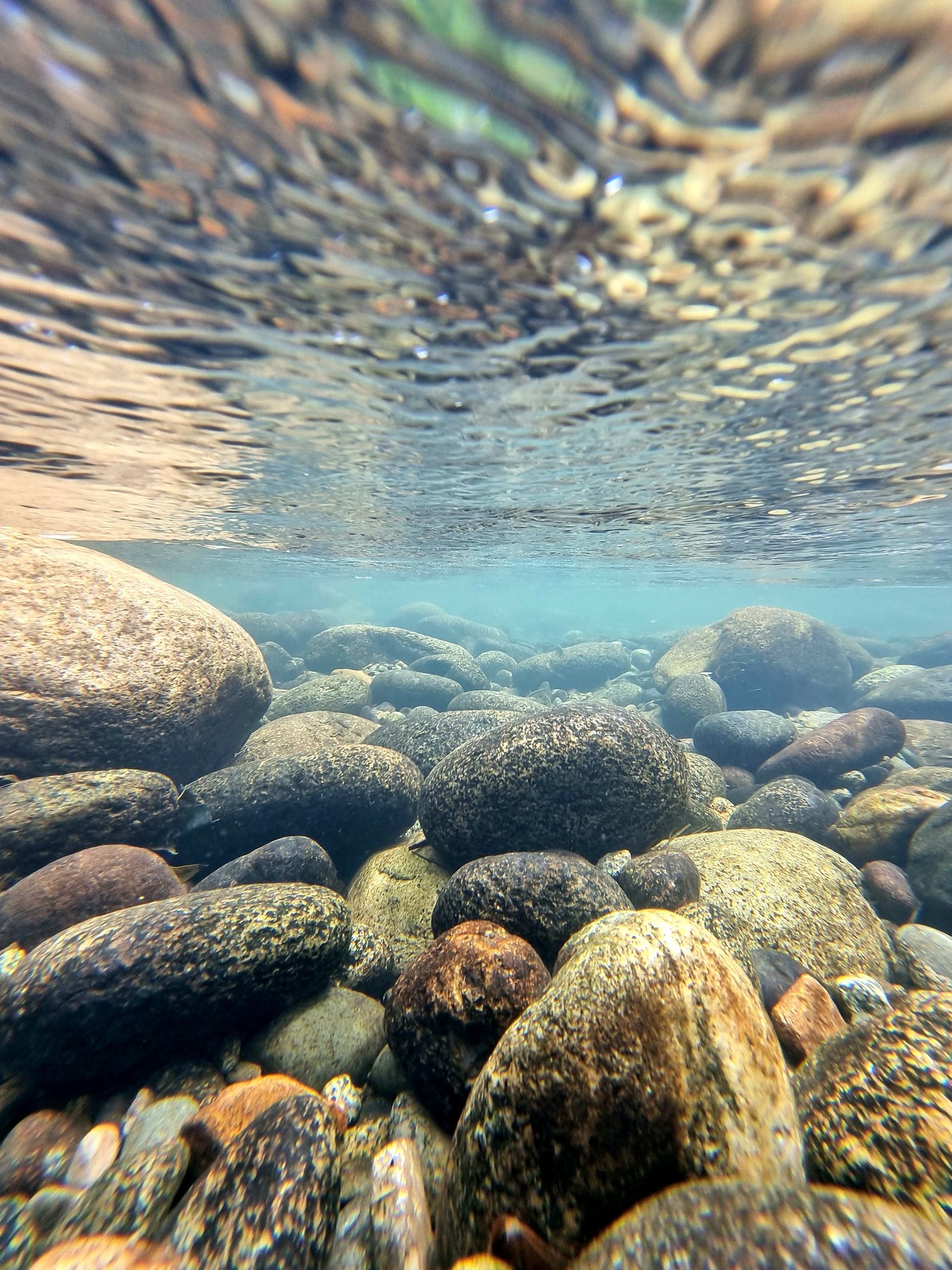 Underwater inspection environment stock visual