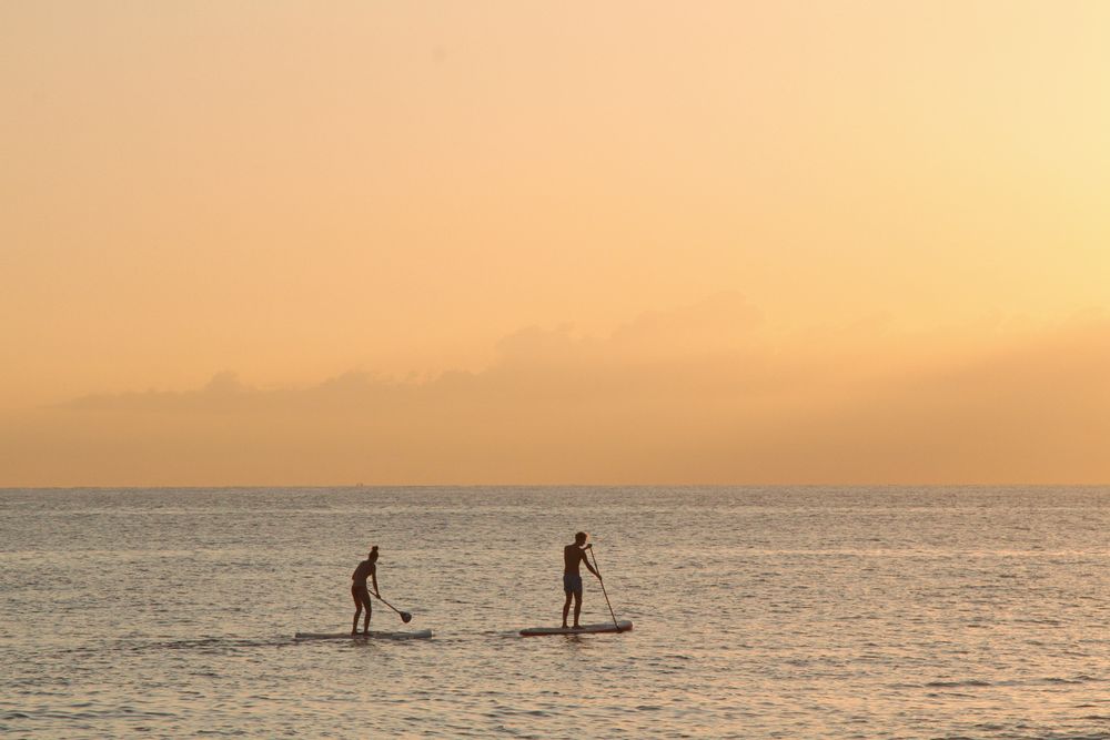 Two people paddleboarding at sunset