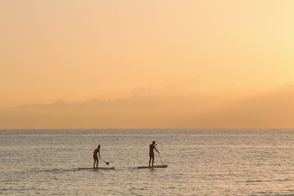 6 Best Paddle Board for Yoga in 2022