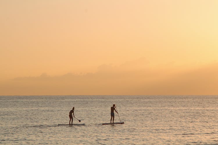 Man And Woman Paddle Boarding At Sea