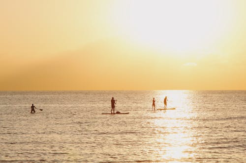 Silhouettes of People Paddleboarding on the Ocean