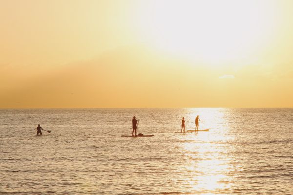 Paddleboarders at sunrise