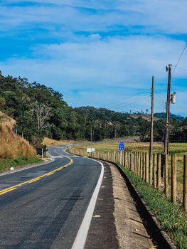 Curved highway surrounded by lush trees under a bright blue sky, showcasing tranquility.