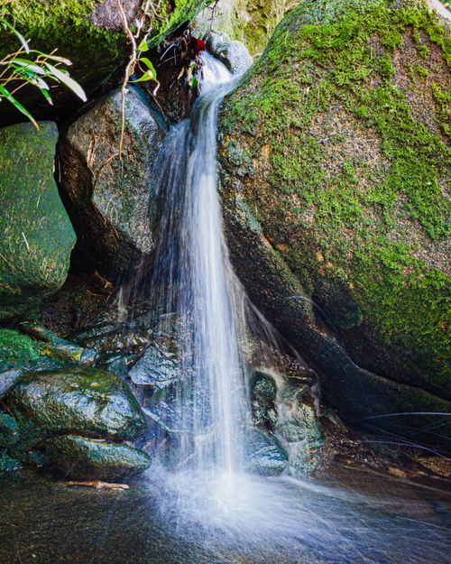 Free A peaceful waterfall cascading over moss-covered rocks in a lush forest setting. Stock Photo