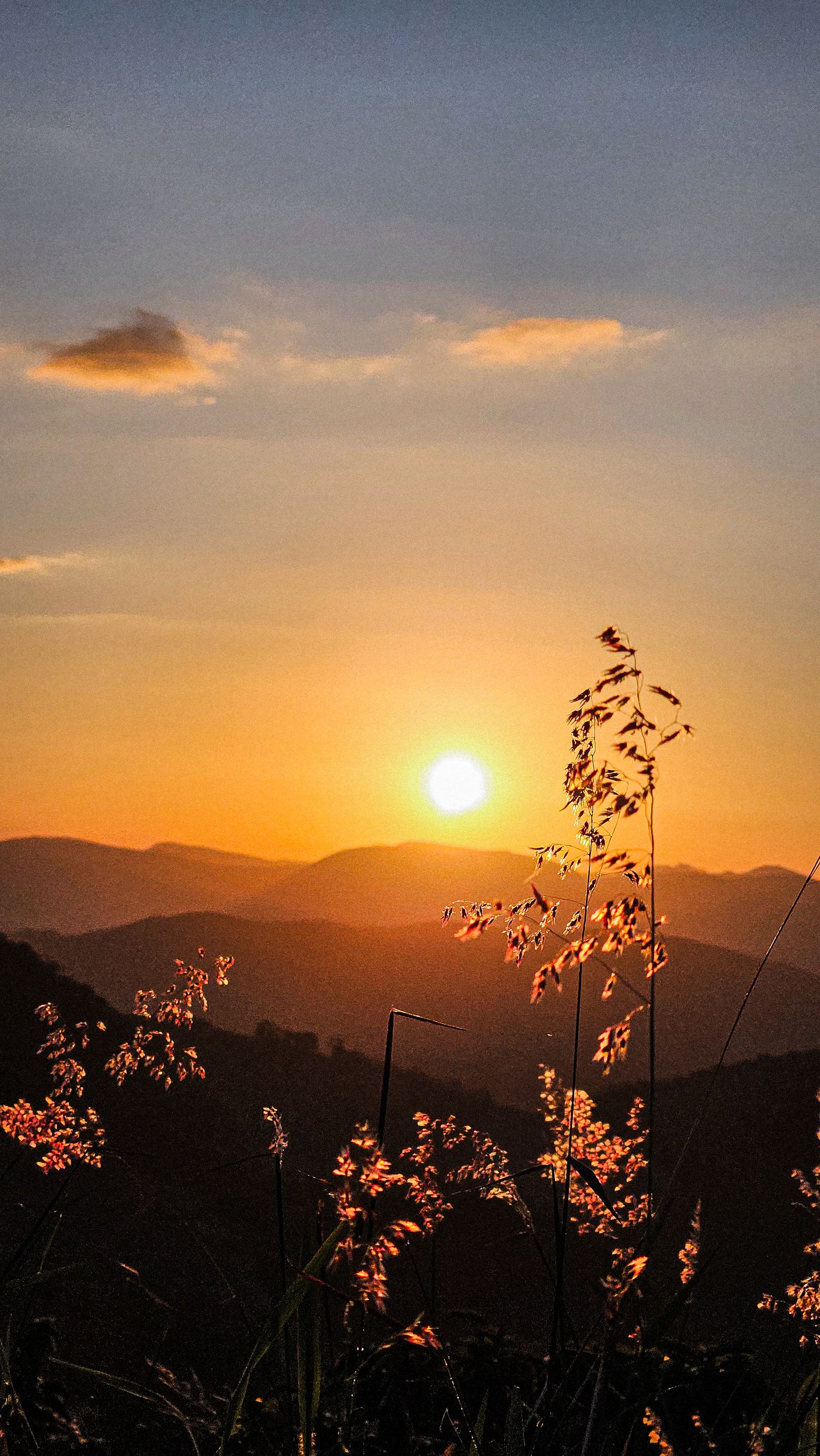 A Scenic Sunset · Free Stock Photo