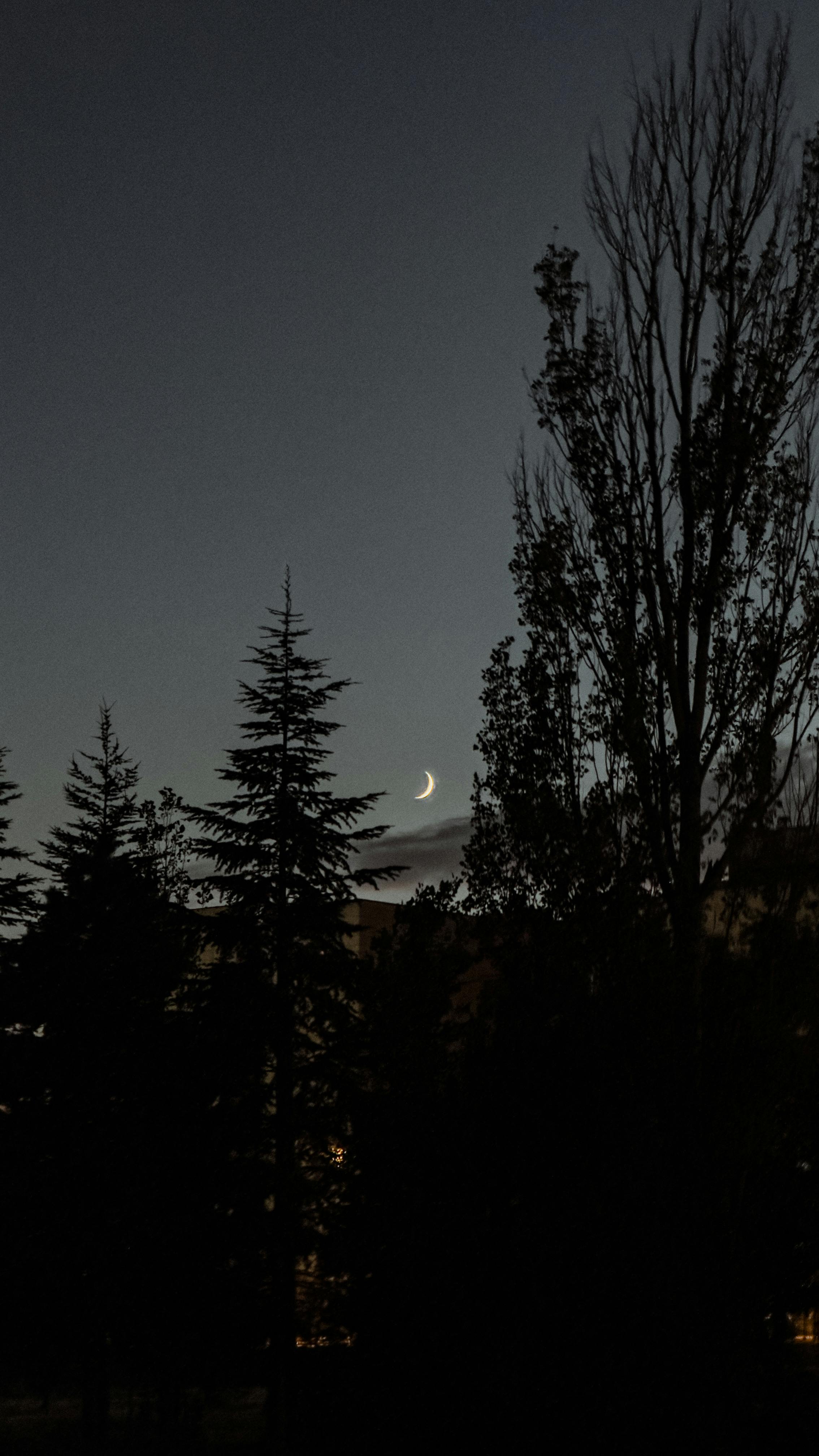 Serene Night Sky with Crescent Moon · Free Stock Photo, image size:2268x4032