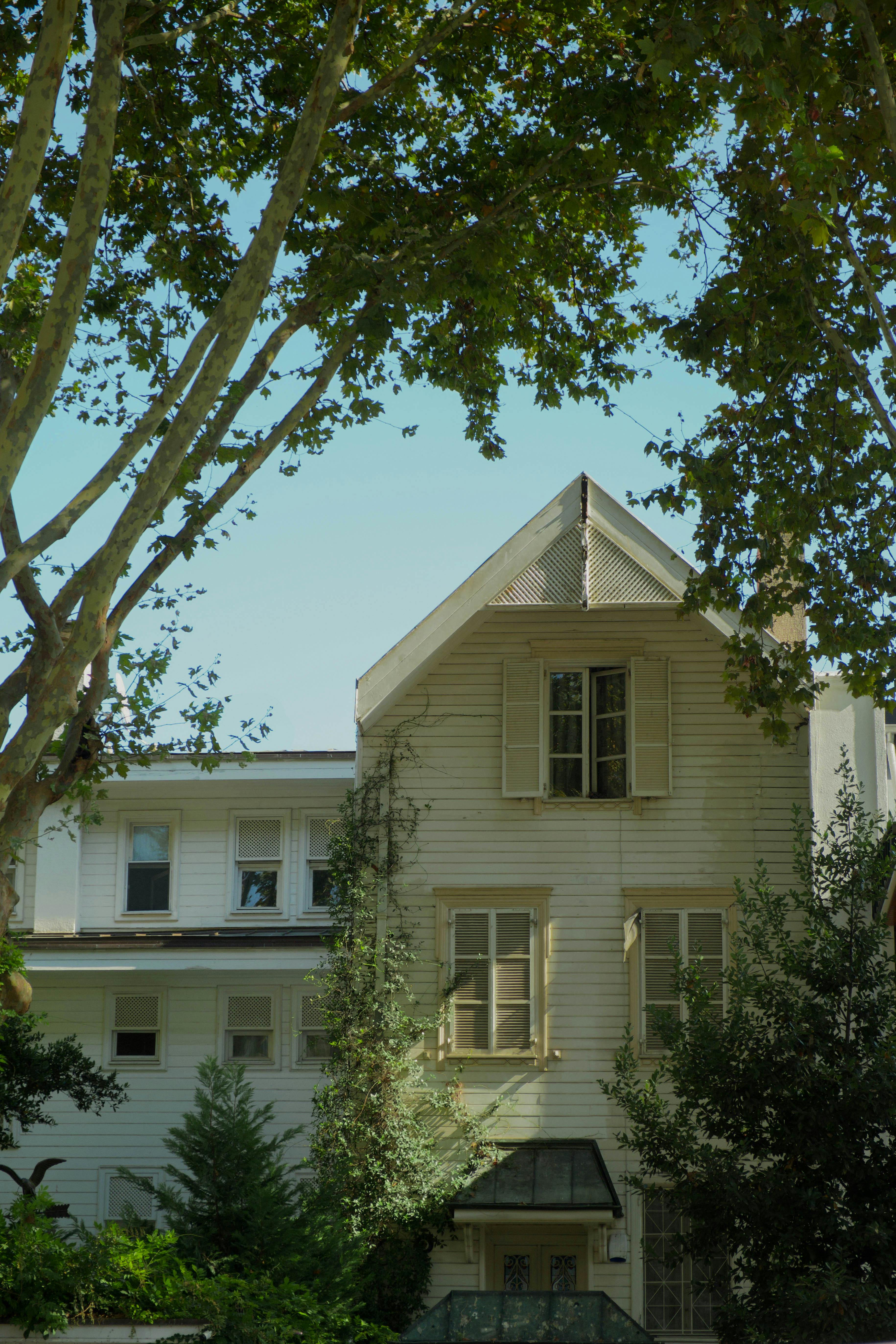 Vintage house exterior covered with ivy, offering a charming and natural aesthetic.