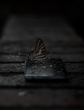 A butterfly rests on a wet smartphone in dim lighting, highlighting nature's contrast with technology.