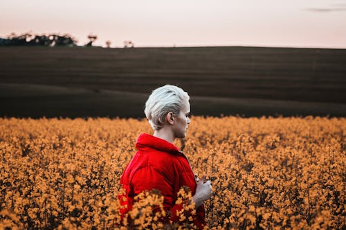 Free Woman Walking At A Field Of Flowers Stock Photo