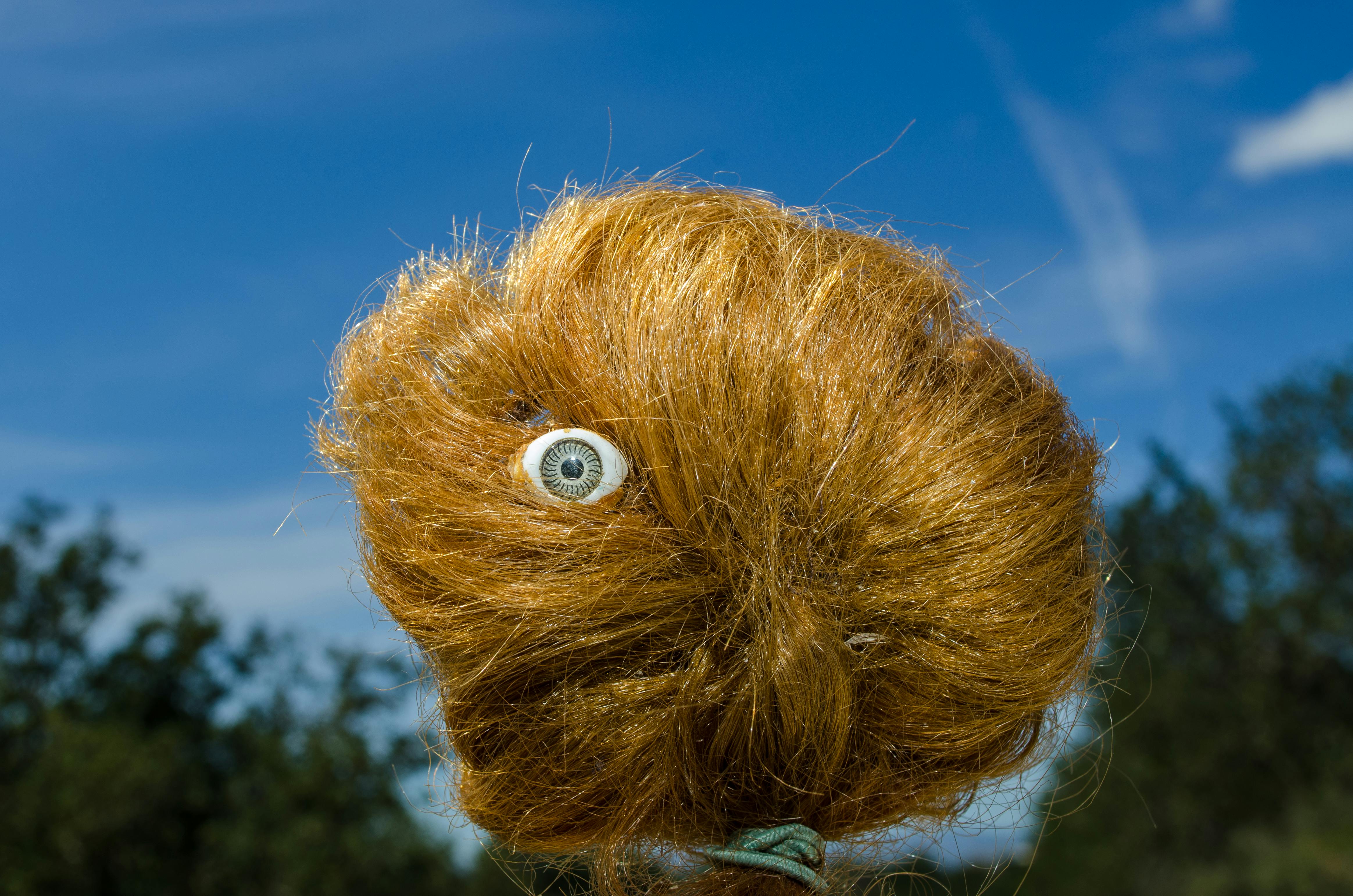 surreal hairball with eye against blue sky