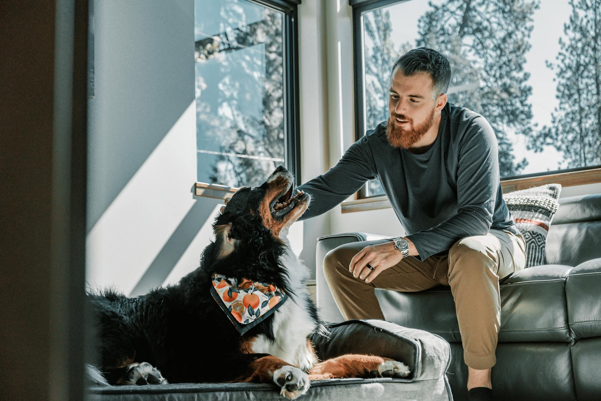 A man enjoys a moment with his Bernese mountain dog indoors, capturing warmth and companionship.