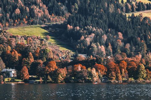 Free Stunning autumn forest view with vibrant foliage by a serene lake. Stock Photo