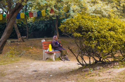 Free A serene image of an elderly woman sitting on a park bench surrounded by trees and prayer flags. Stock Photo