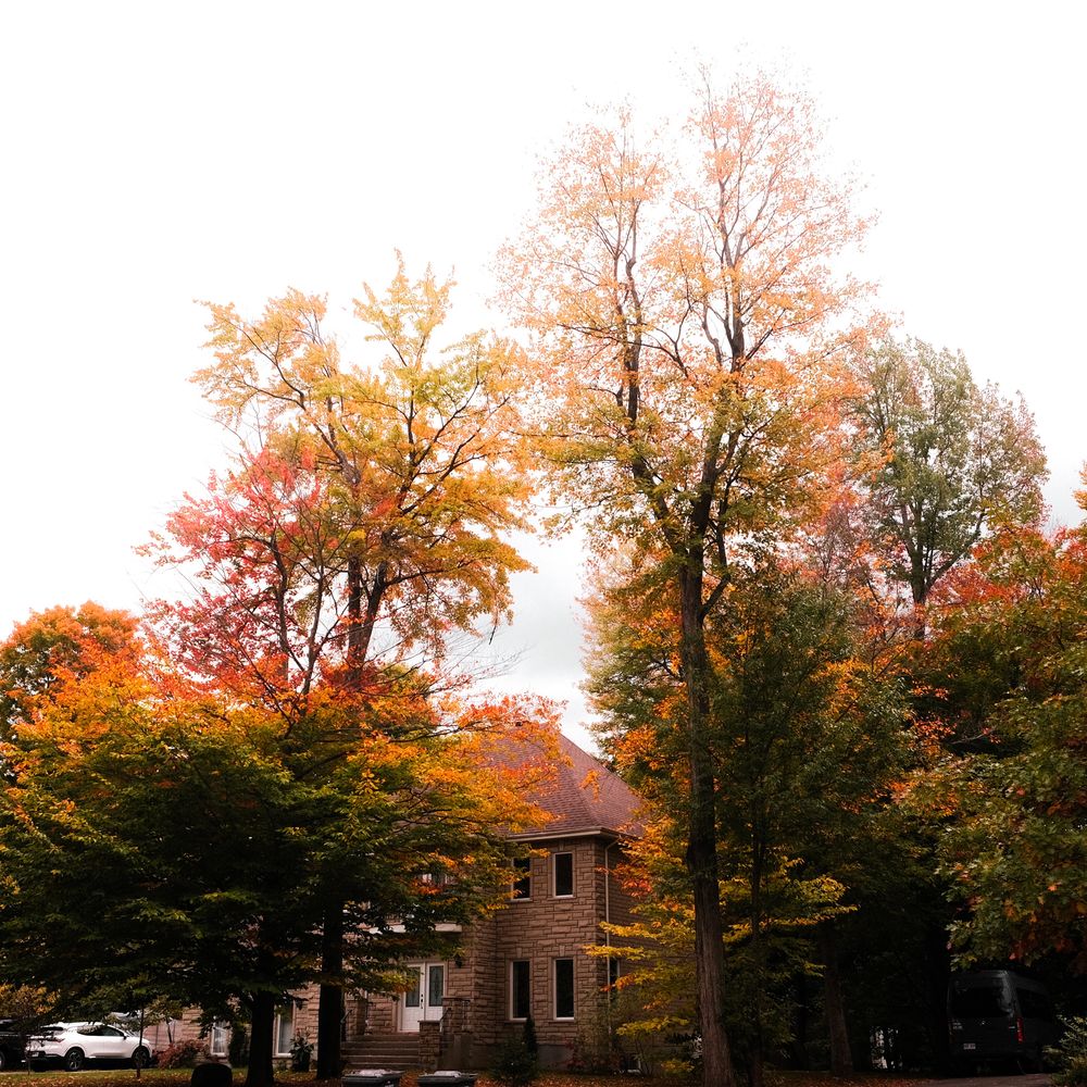 Suburban house in Amherst-area autumn setting