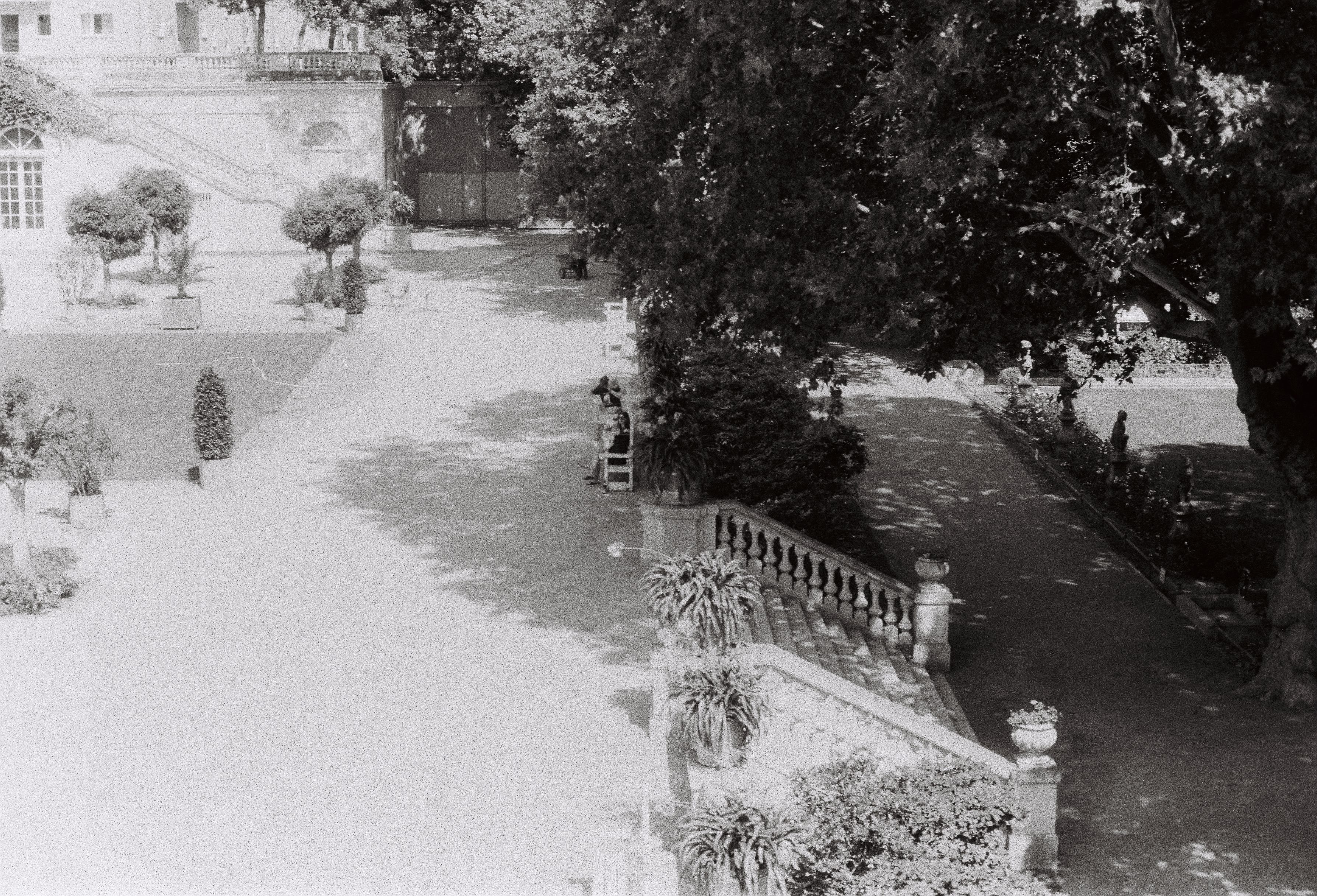 A serene black and white image of a garden terrace, featuring shadows and classic architecture.