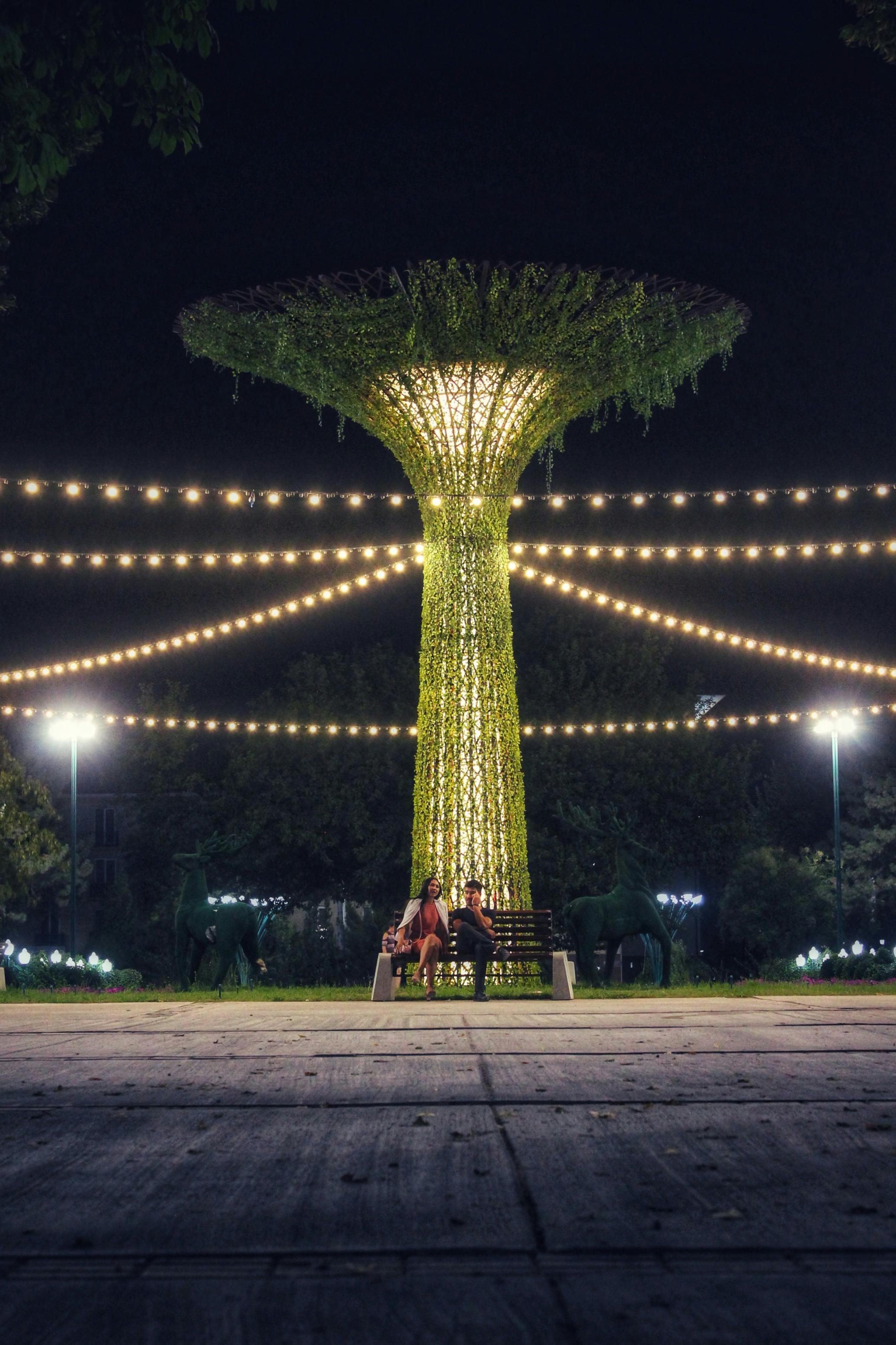 a couple sits on a bench in a park