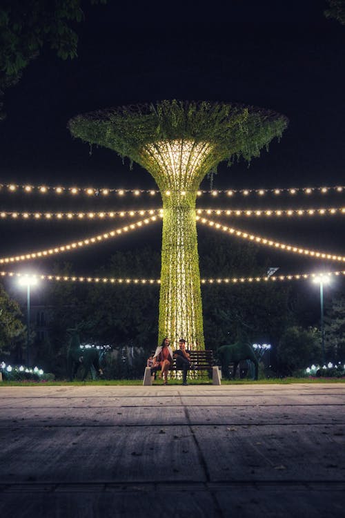 Um Casal Se Senta Em Um Banco De Um Parque