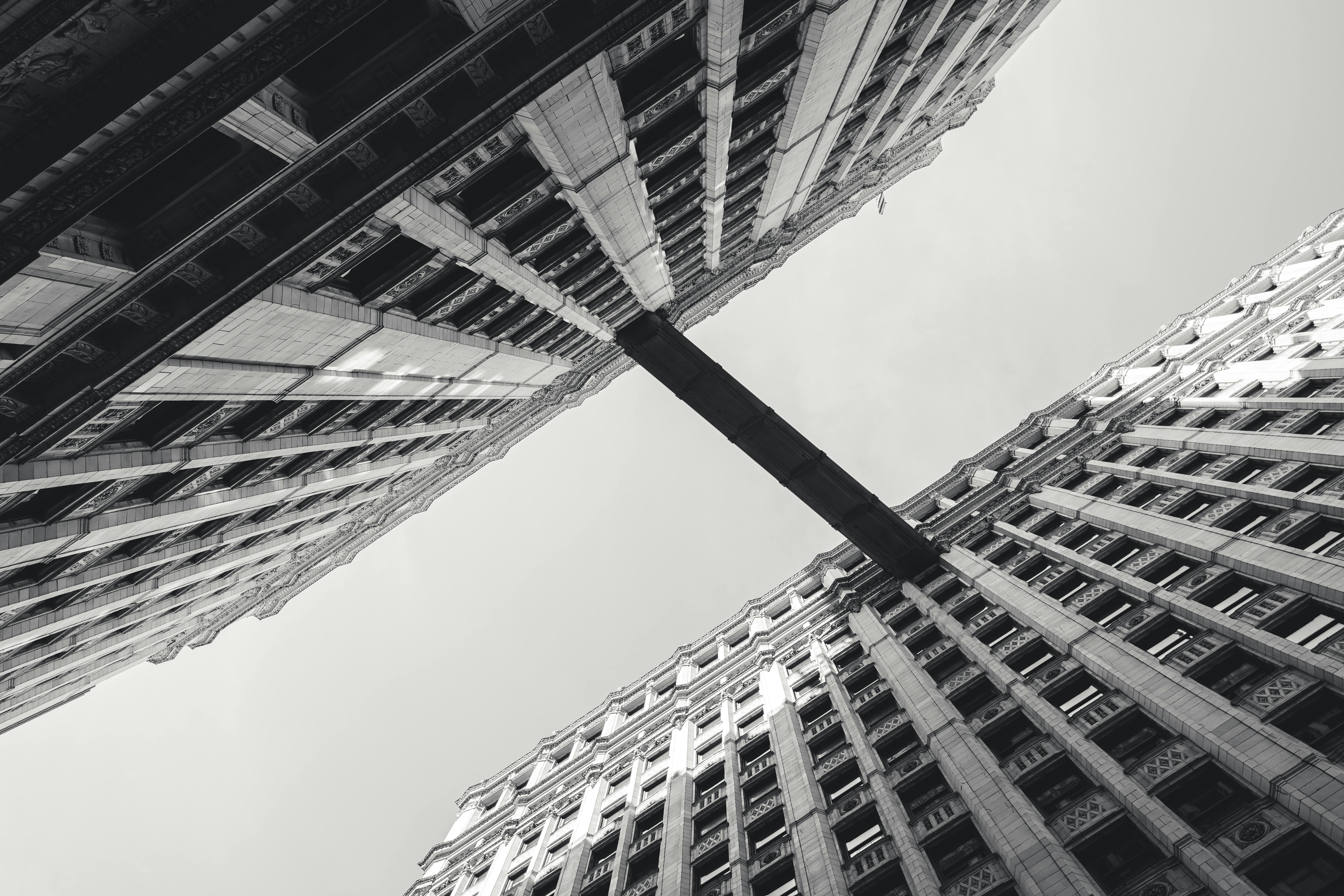 Building a Connected Community Ecosystem at Discoveryforum.com