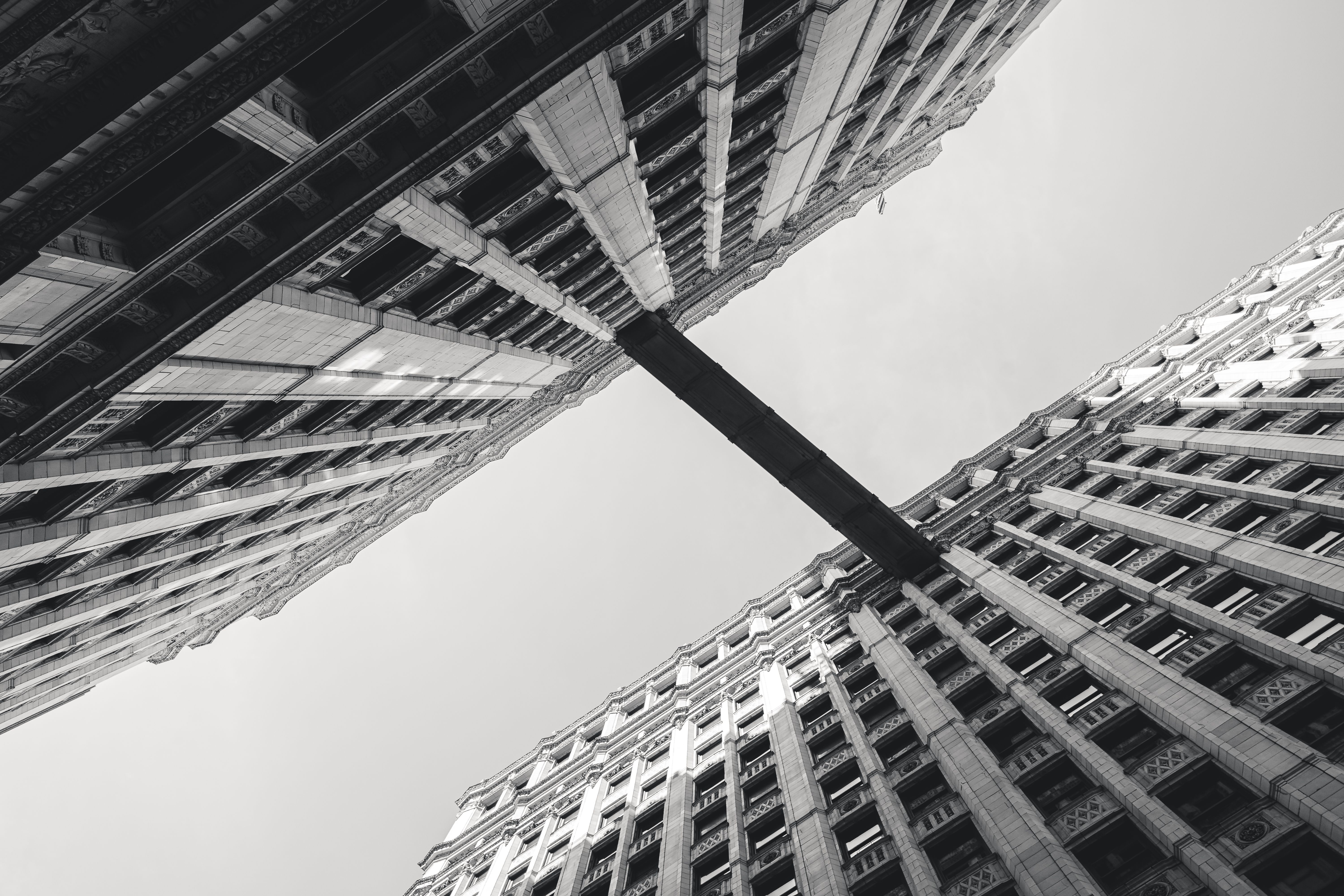 Dramatic View of Classic Architecture in Black and White · Free Stock Photo