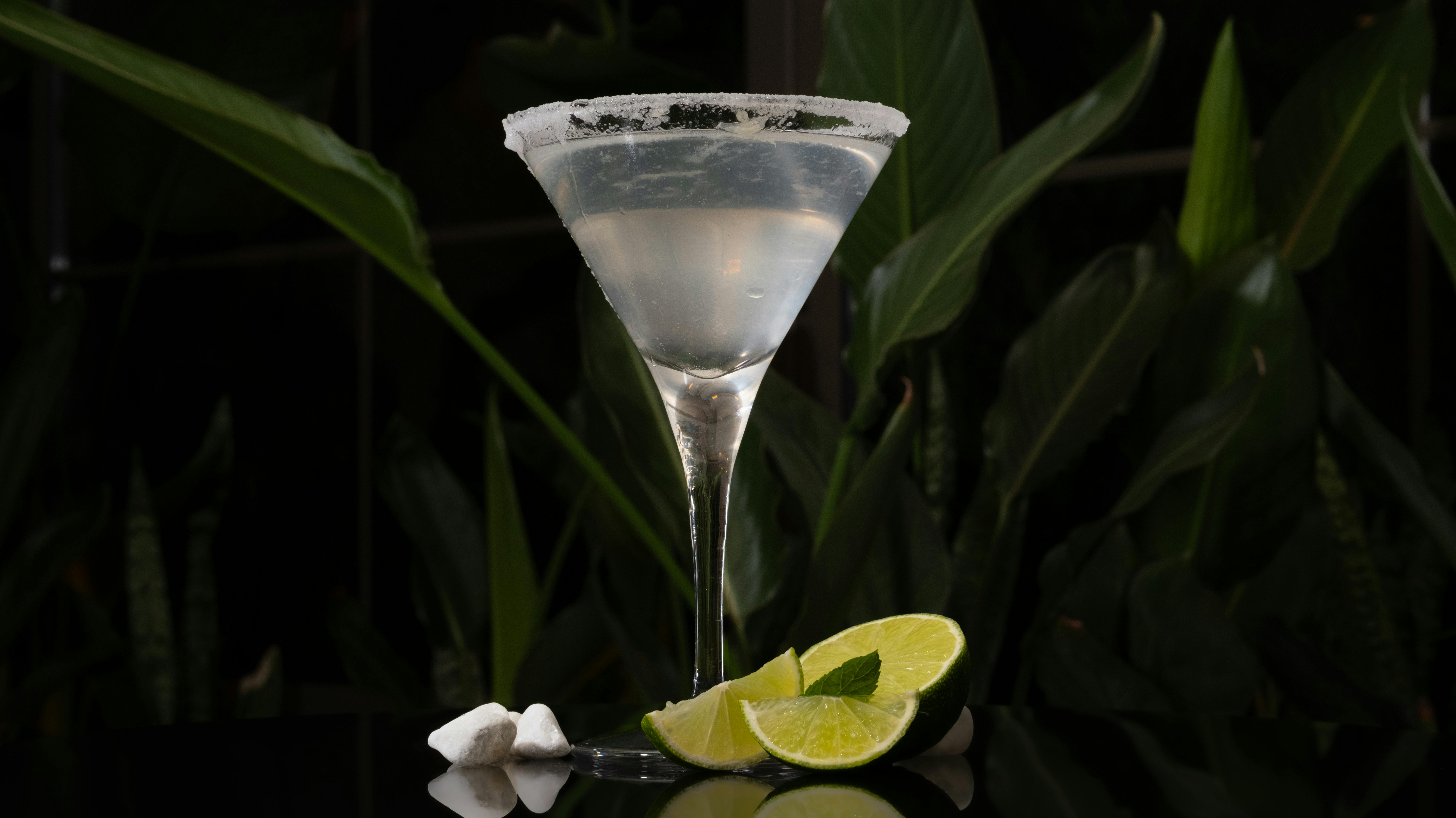 A classic martini with lime slices, sugar rim, and leaf garnish against a leafy backdrop.