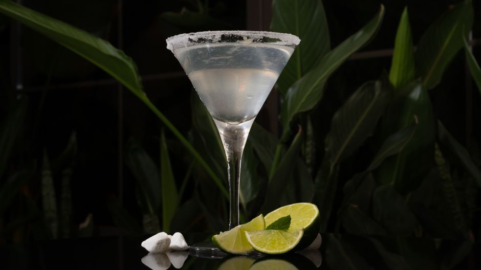 A classic martini with lime slices, sugar rim, and leaf garnish against a leafy backdrop.