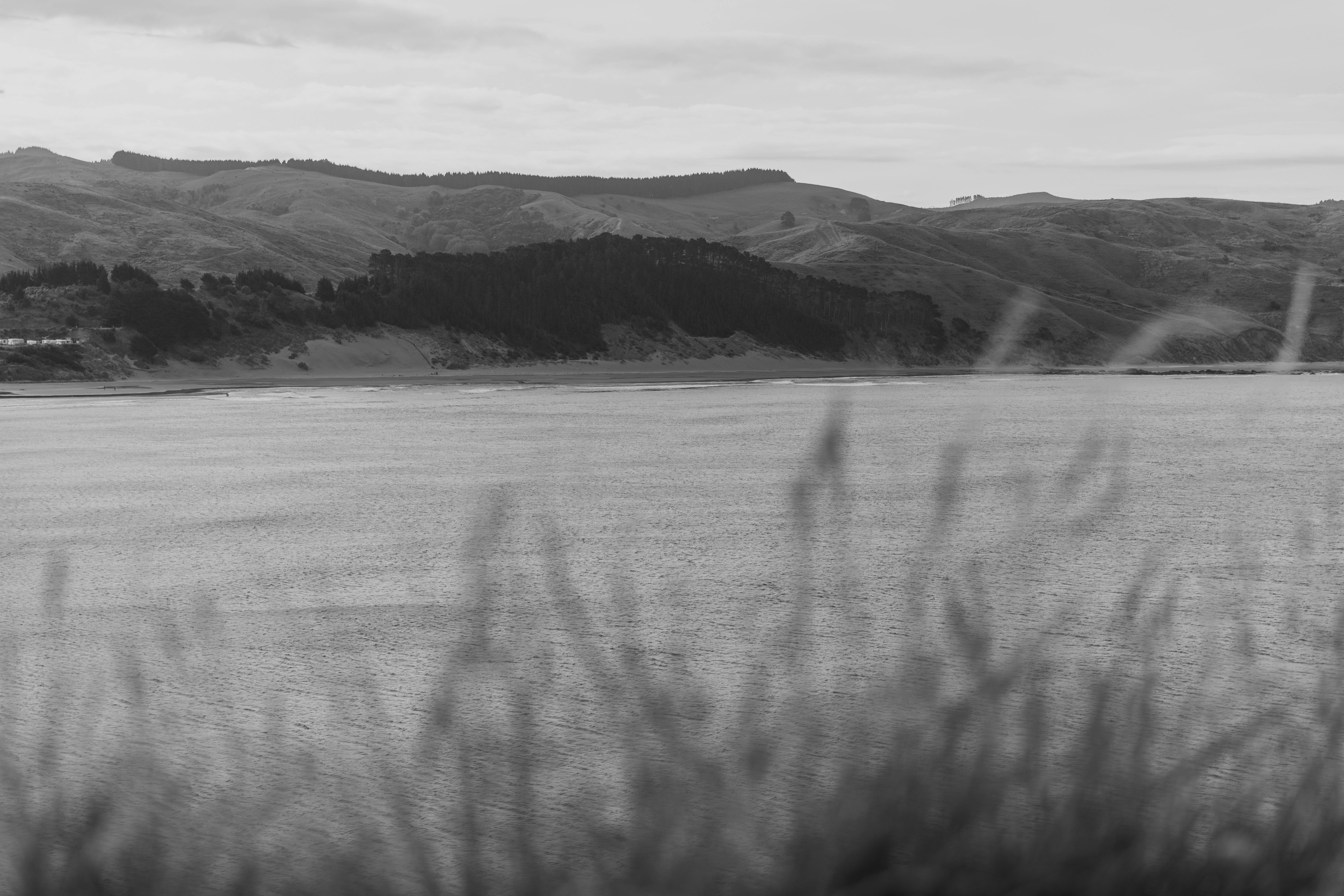 Rakiura National Park Stewart Island New Zealand Nature Landscape Wildlife Kiwi Aurora Australis Hiking Coastal Rainforest Wetlands Sand Dunes