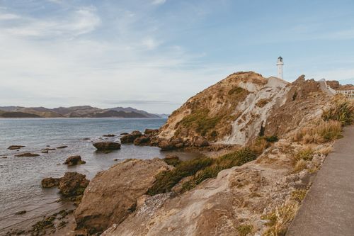 Free Beautiful view of Castlepoint Lighthouse standing tall on the rugged New Zealand coast. Stock Photo