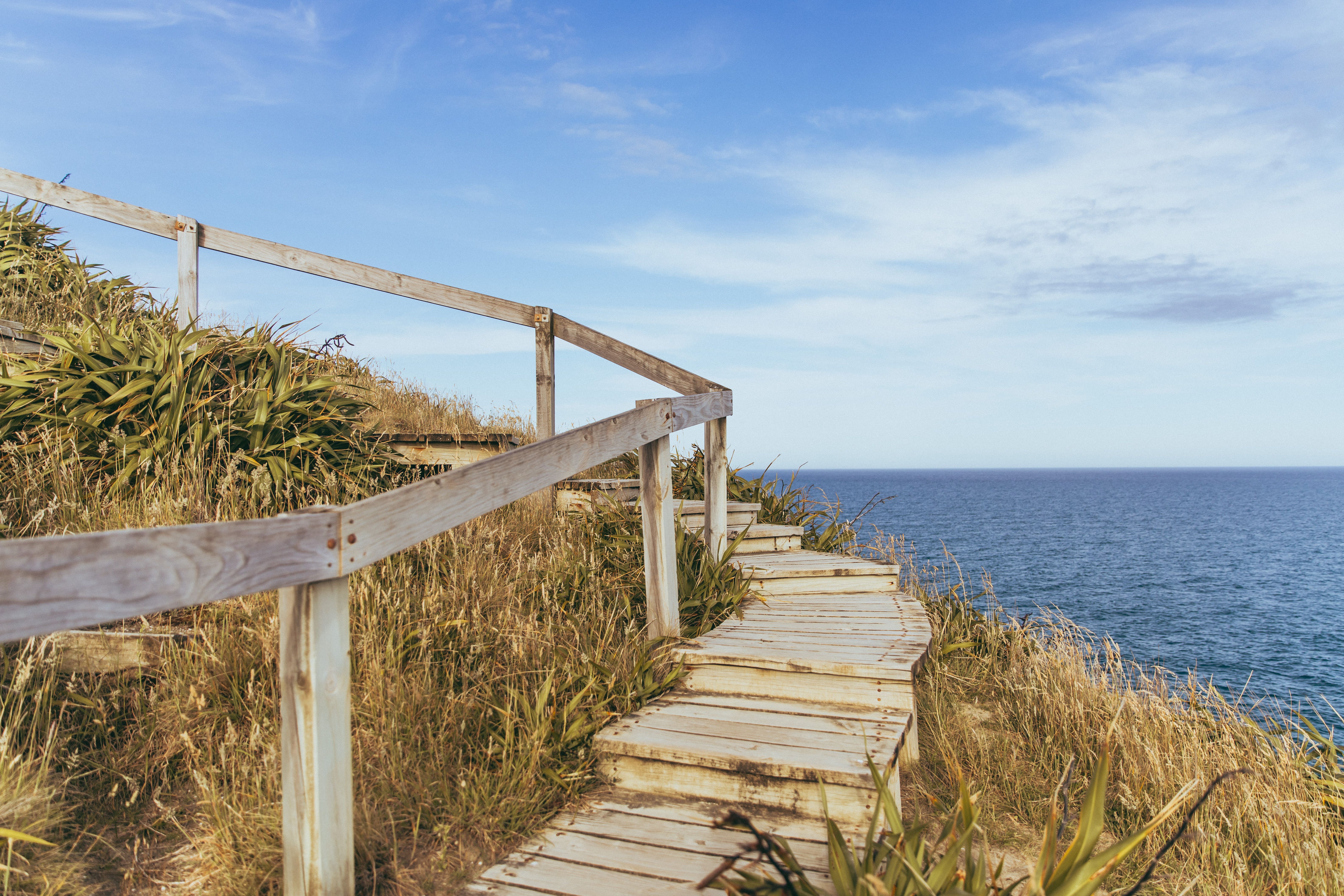 How RBNZ’s Gradual Tightening Impacts the Kiwi vs Gold and the USD – A Trader’s Playbook