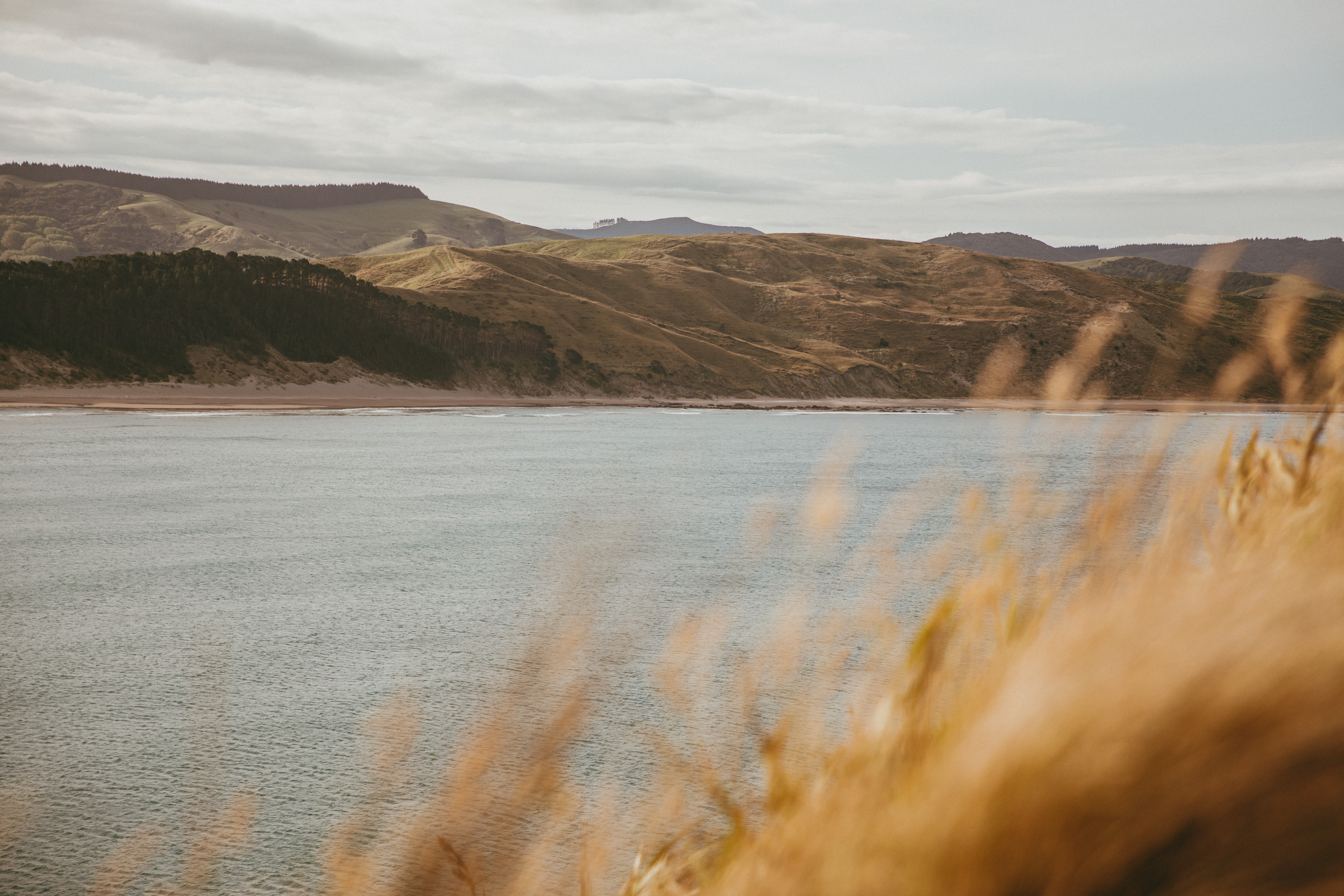 general travel new zealand — Photo by Petra Reid on Pexels